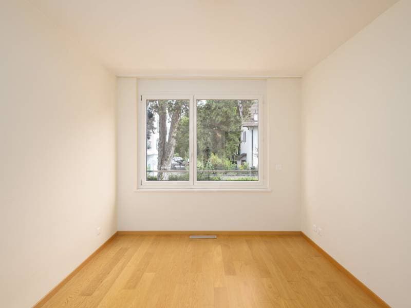 Magnifique appartement - Carouge GE (8)