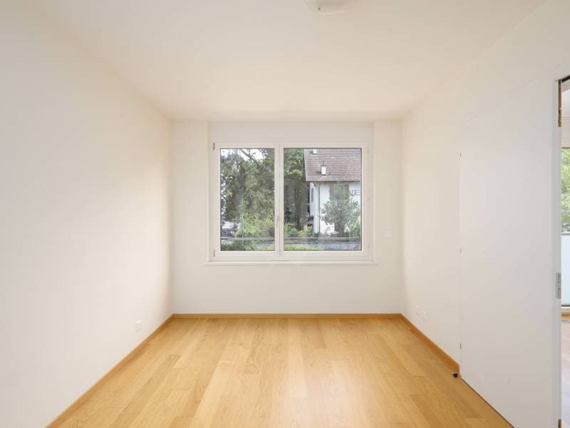 Magnifique appartement - Carouge GE (7)