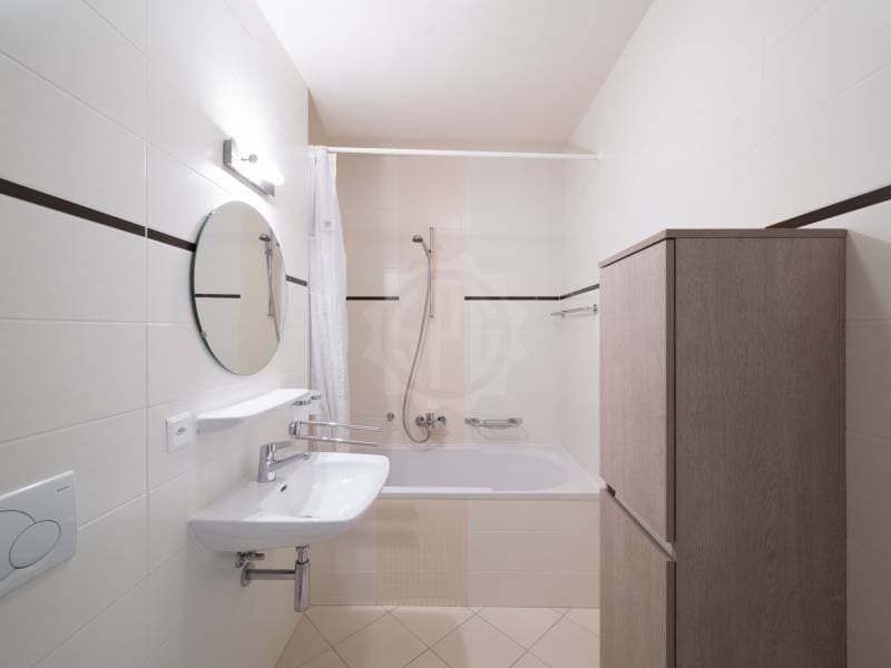Magnifique appartement - Carouge GE (10)