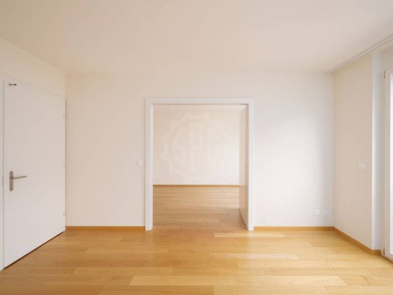 Magnifique appartement - Carouge GE (6)