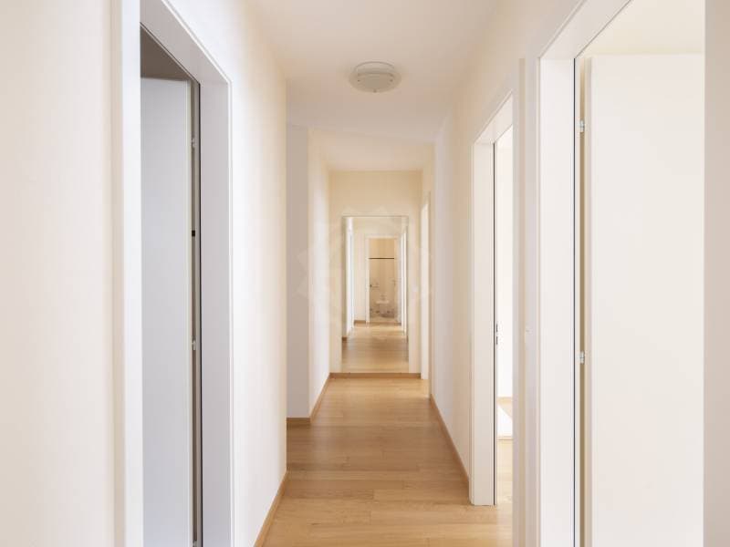 Magnifique appartement - Carouge GE (9)