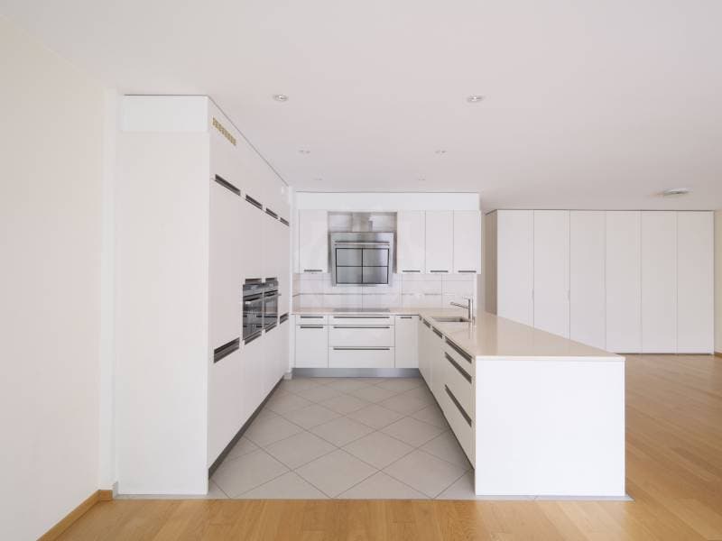 Magnifique appartement - Carouge GE (4)