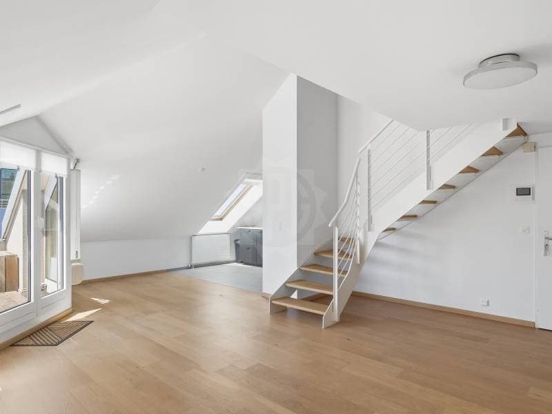 Cozy apartment - Geneva (5)