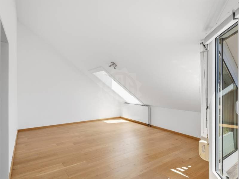 Cozy apartment - Geneva (7)