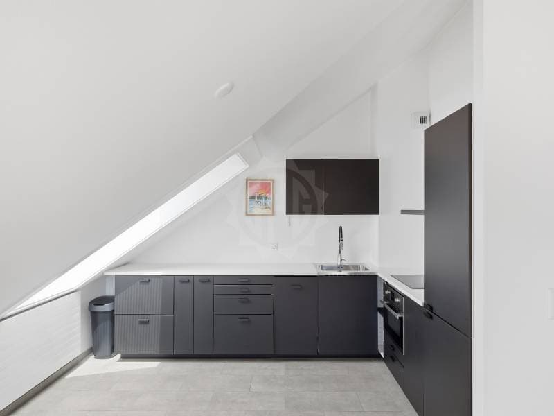 Cozy apartment - Geneva (3)