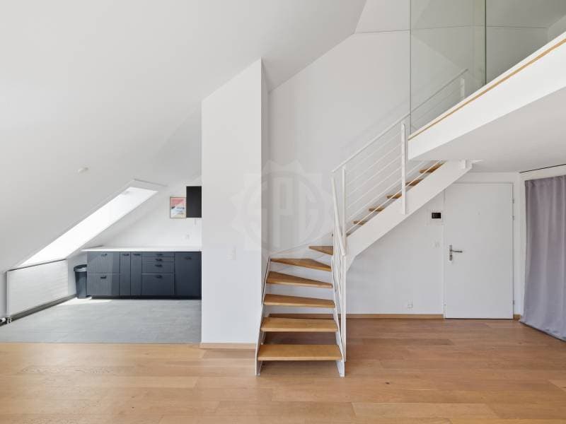 Cozy apartment - Geneva (4)