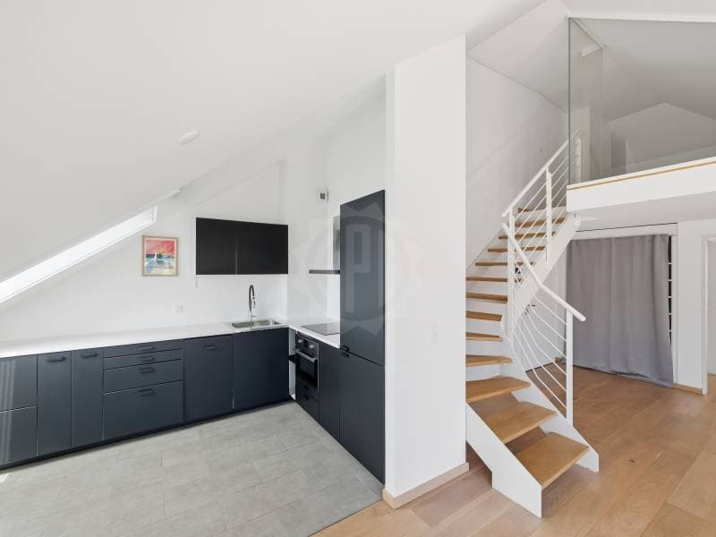 Cozy apartment - Geneva (2)