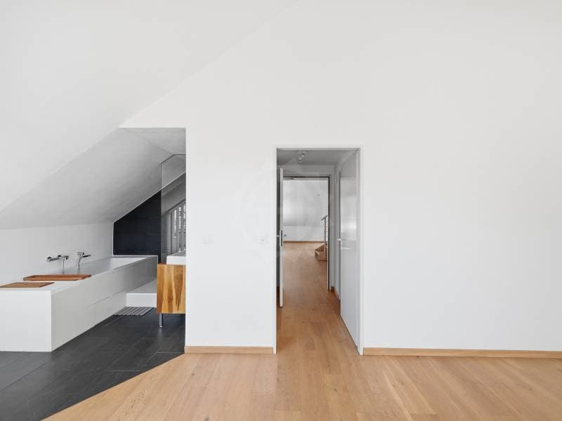 Cozy apartment - Geneva (8)