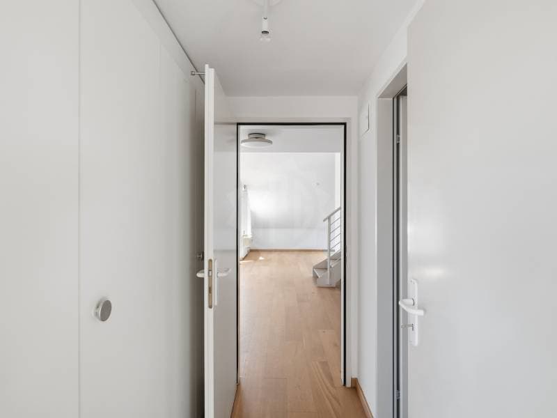 Cozy apartment - Geneva (6)