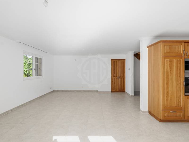 Chaleureuse villa - Collonge-Bellerive (6)