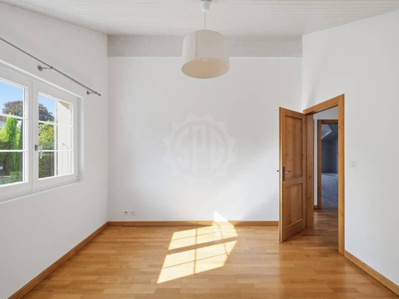 Chaleureuse villa - Collonge-Bellerive (10)