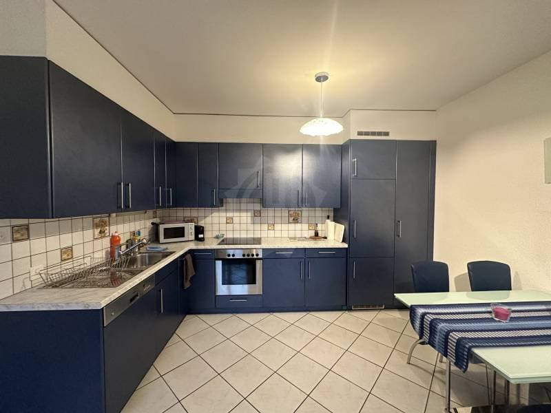Pleasant apartment - Plan-les-Ouates (3)