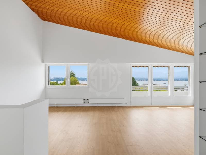 Chaleureuse villa - Cologny (8)