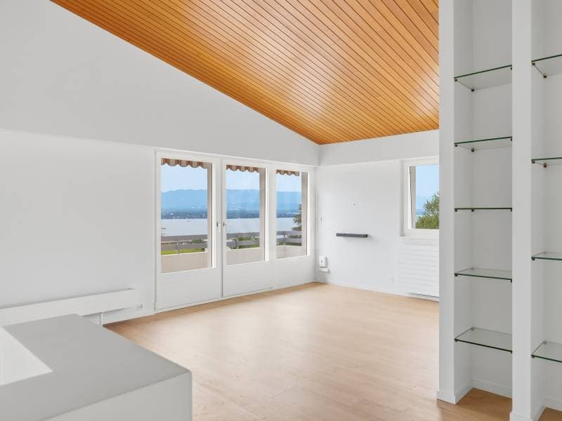 Chaleureuse villa - Cologny (6)