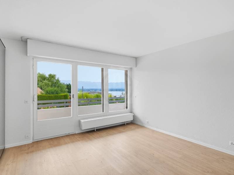 Chaleureuse villa - Cologny (12)