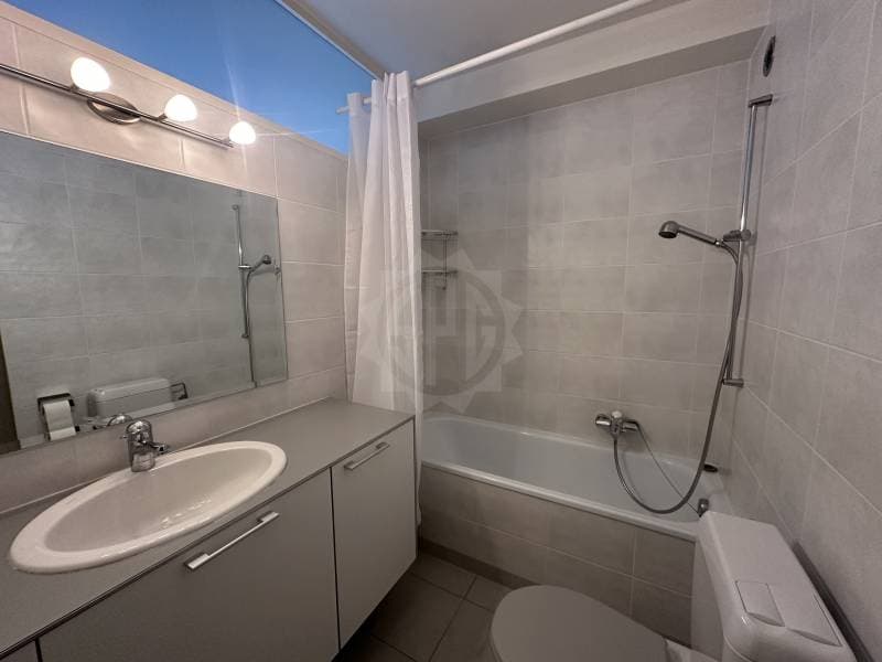 Appartement agréable - Chêne-Bougeries (6)
