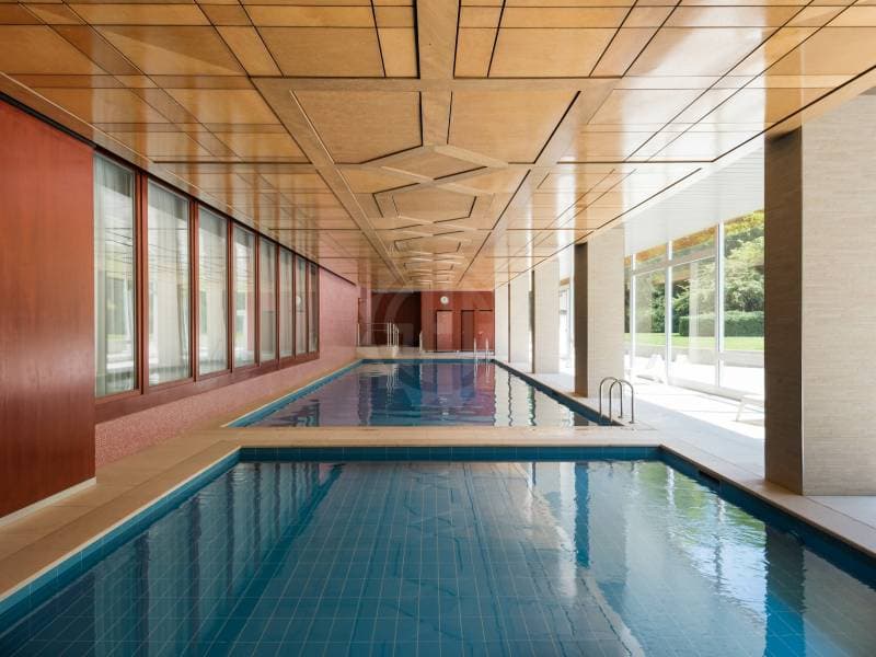 Appartement agréable - Chêne-Bougeries (2)