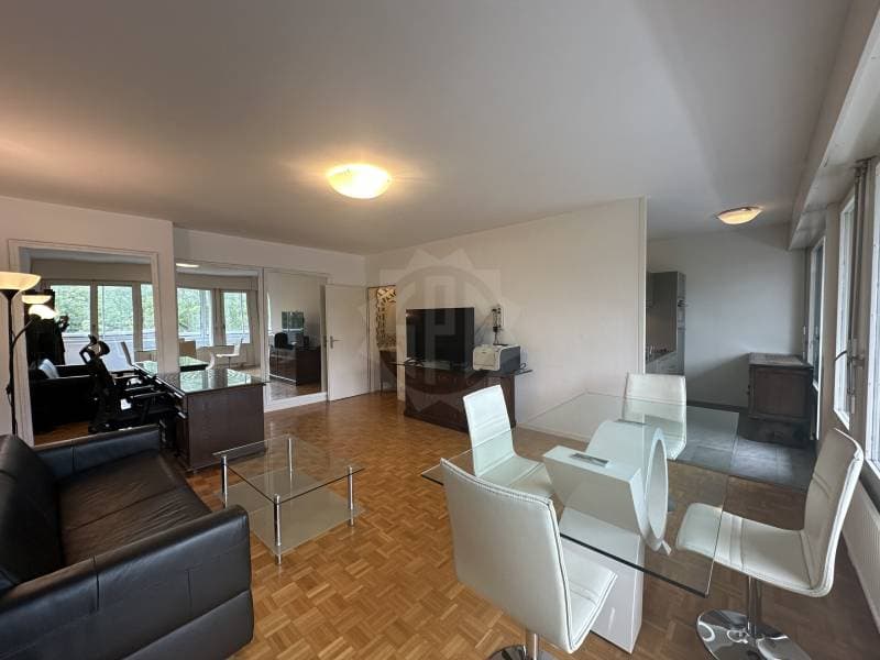Appartement agréable - Chêne-Bougeries (5)
