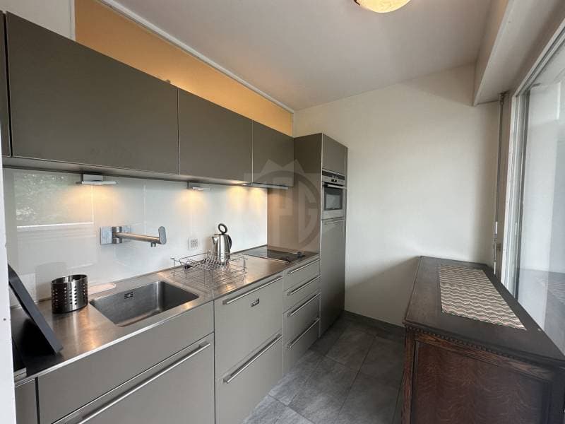 Appartement agréable - Chêne-Bougeries (4)