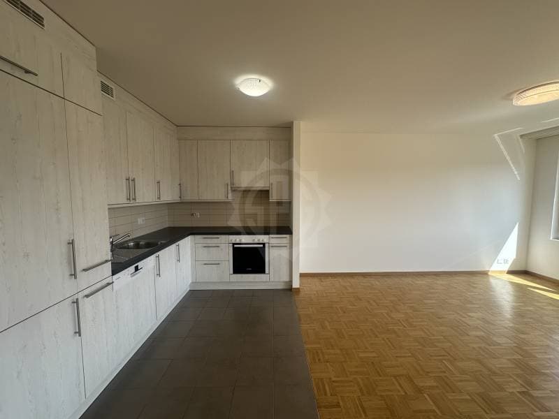 Charming Apartment - La Plaine (6)