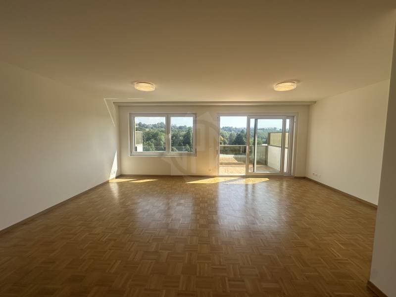 Charming Apartment - La Plaine (7)