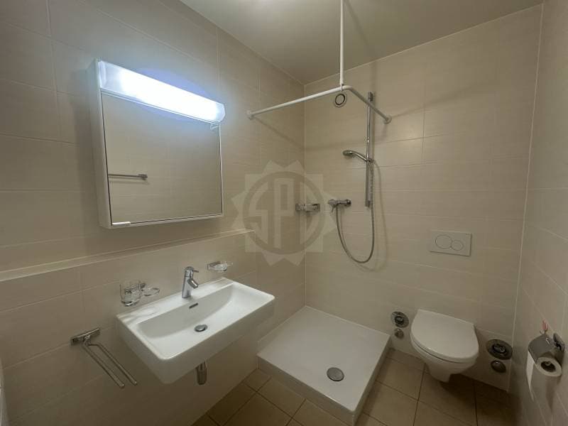 Charming Apartment - La Plaine (11)