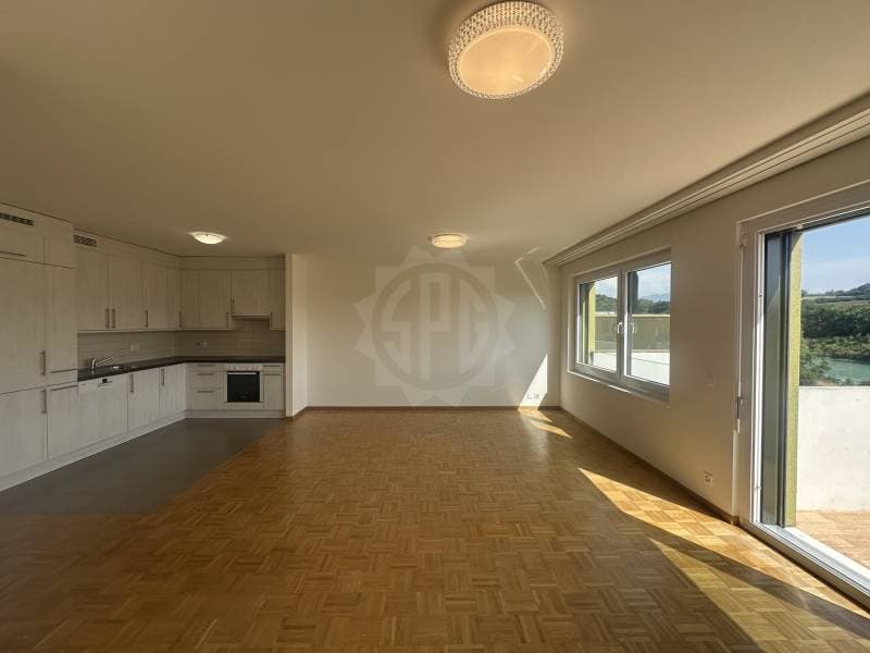 Charming Apartment - La Plaine (5)