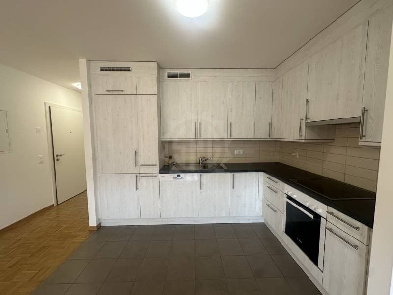 Charming Apartment - La Plaine (2)