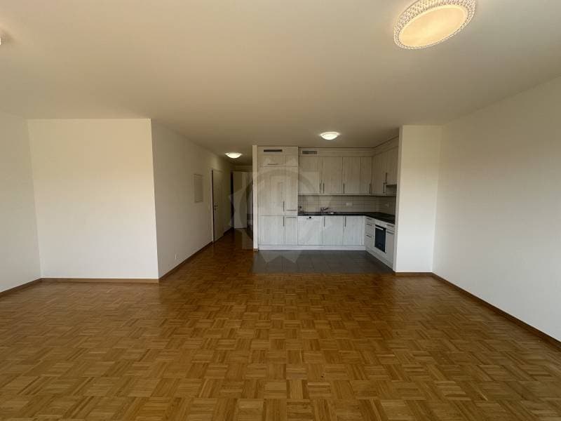 Charming Apartment - La Plaine (4)