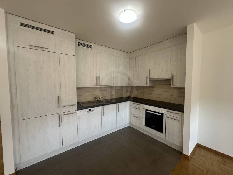 Charming Apartment - La Plaine (3)