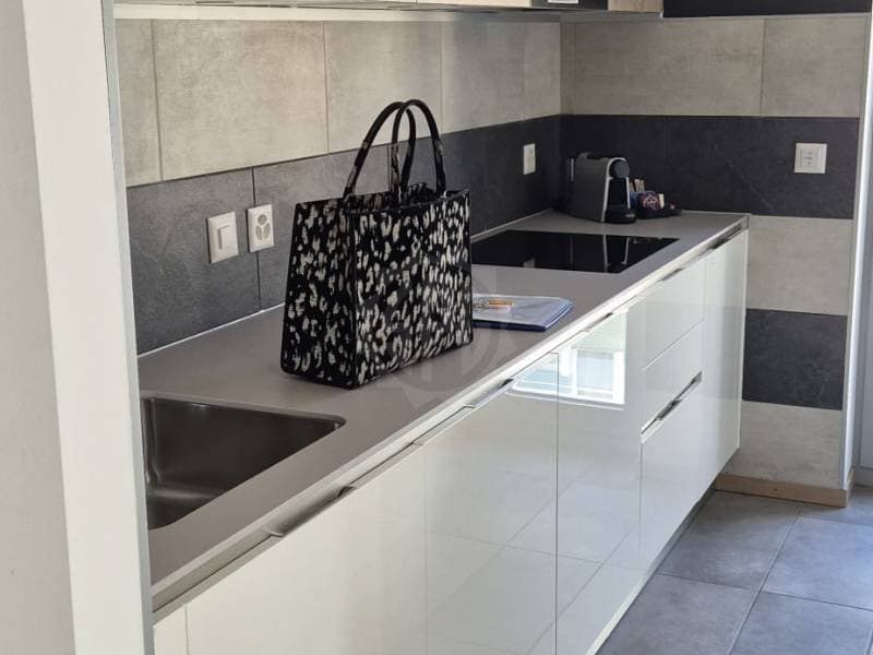 Magnifique appartement - Genève (2)