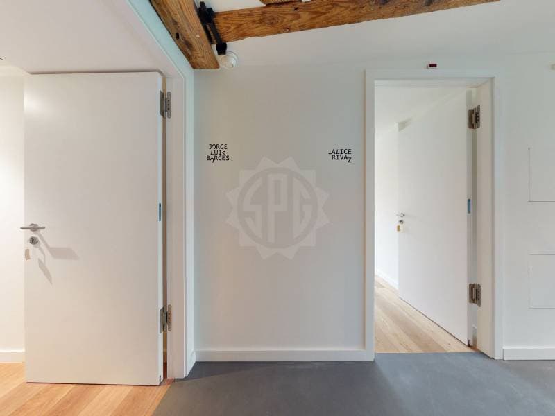 Magnifique appartement - Genève (2)