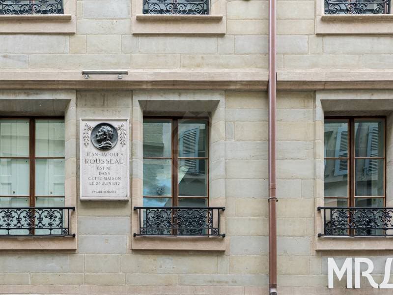 Magnifique appartement - Genève (9)