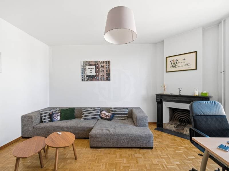 Appartement agréable - Chêne-Bourg (5)