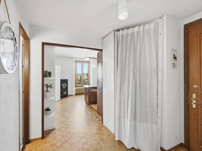 Appartement agréable - Chêne-Bourg (1)
