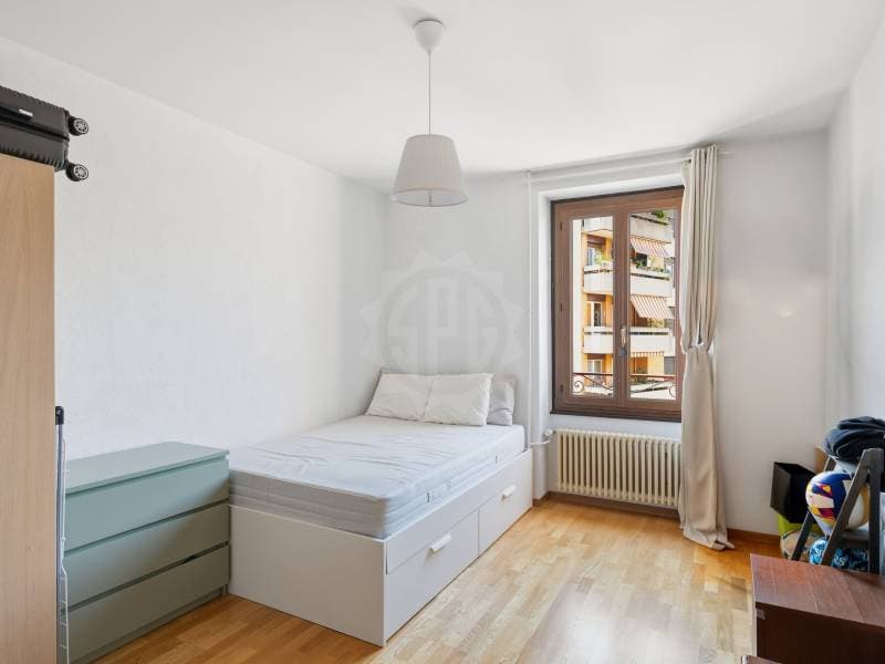 Appartement agréable - Chêne-Bourg (10)