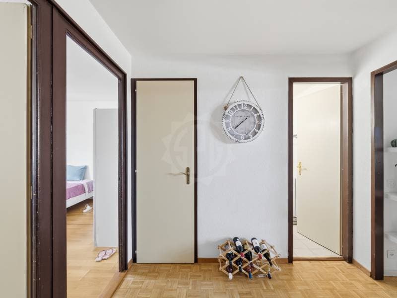 Appartement agréable - Chêne-Bourg (2)