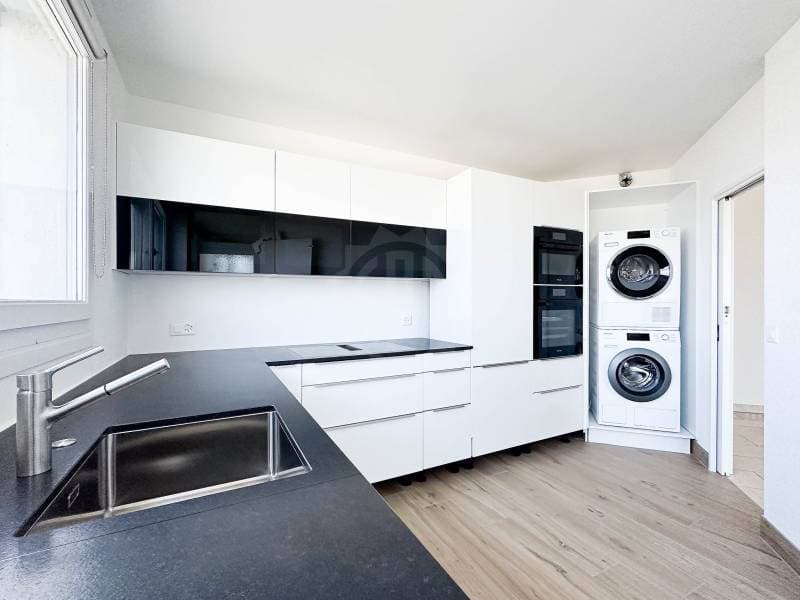 Magnifique appartement - Genève (2)