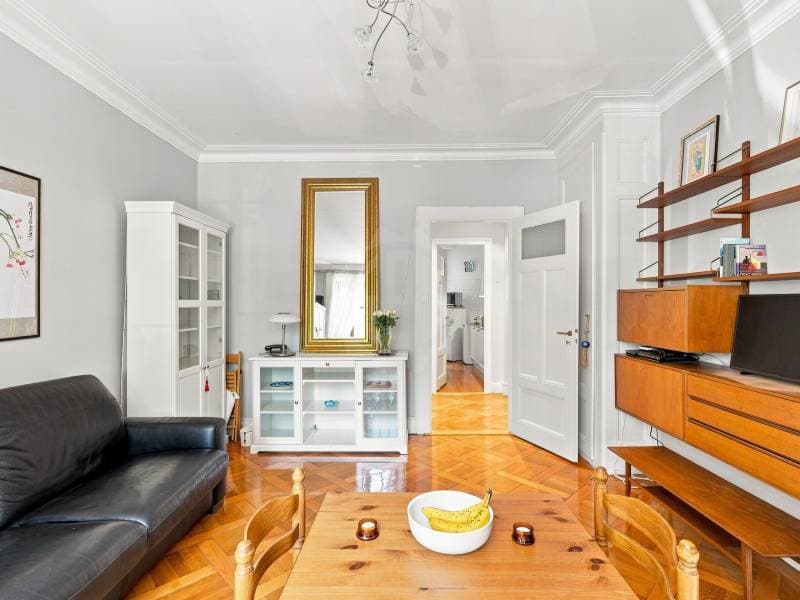Chaleureux appartement - Genève (1)