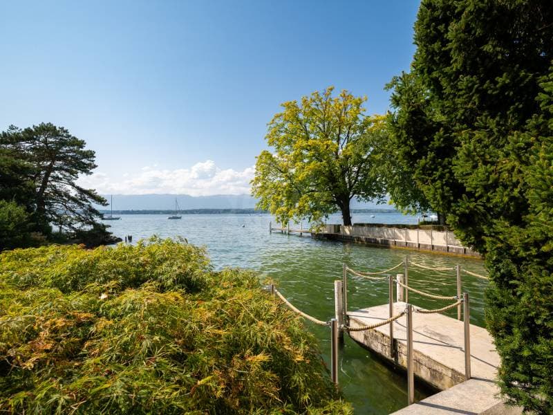 Villa epoustouflante - Vésenaz (5)