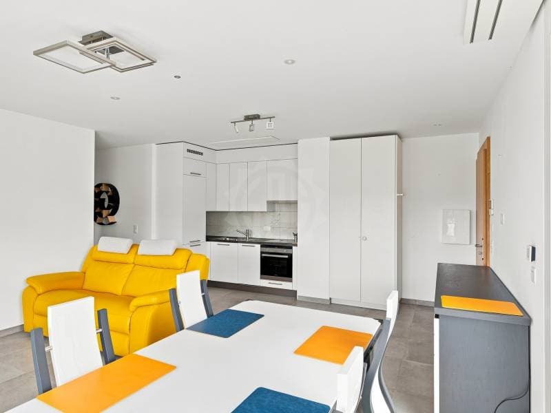 Appartement lumineux - Le Grand-Saconnex (4)