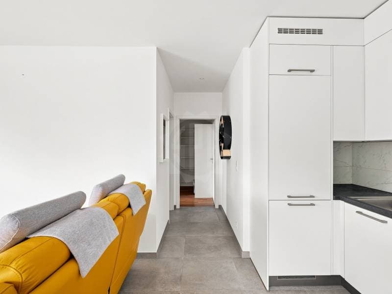 Appartement lumineux - Le Grand-Saconnex (7)