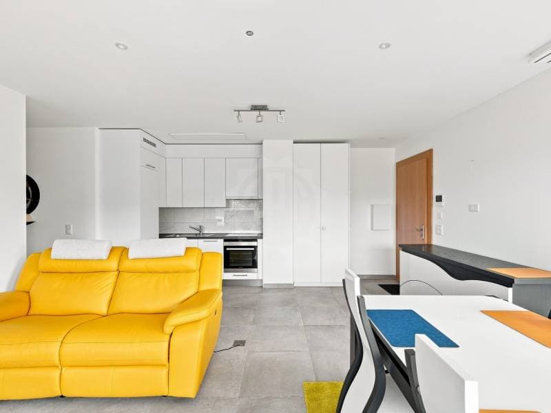 Appartement lumineux - Le Grand-Saconnex (3)