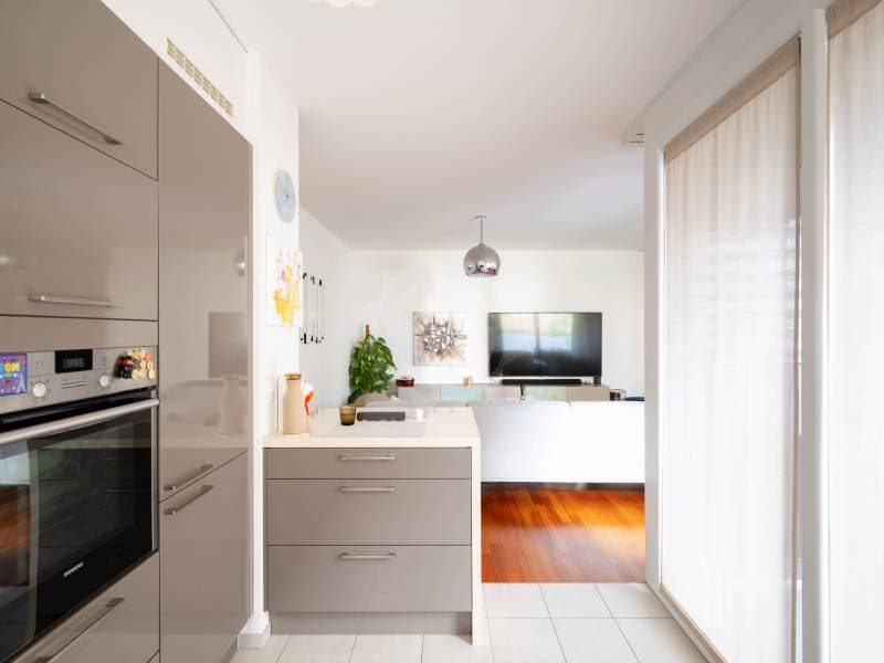 Magnifique appartement - Chêne-Bourg (2)