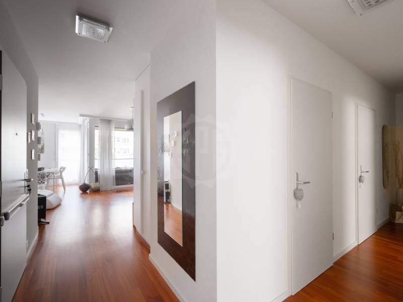 Magnifique appartement - Chêne-Bourg (8)