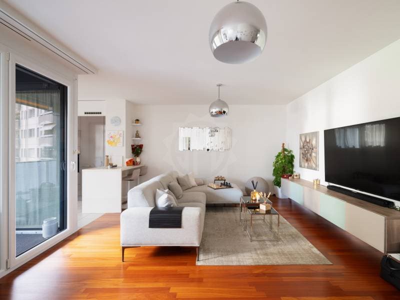 Magnifique appartement - Chêne-Bourg (6)