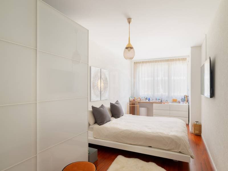 Magnifique appartement - Chêne-Bourg (11)