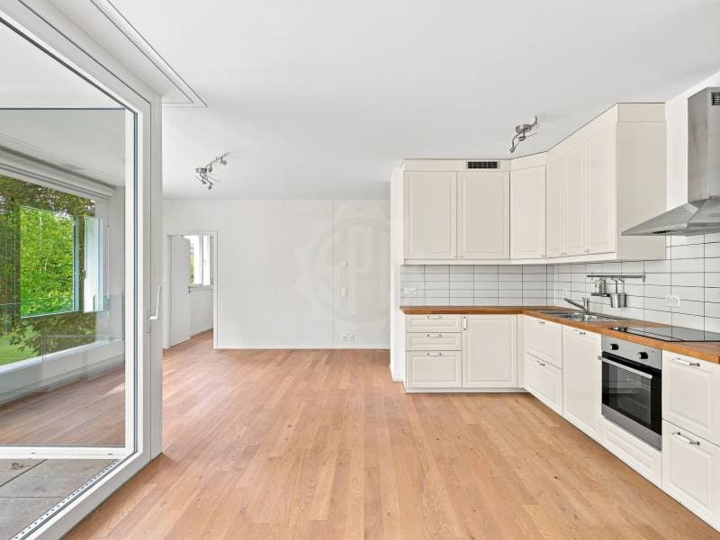 Appartement agréable - Chêne-Bourg (2)