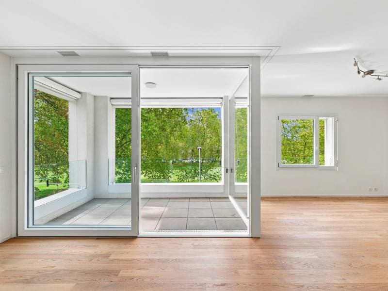Appartement agréable - Chêne-Bourg (5)