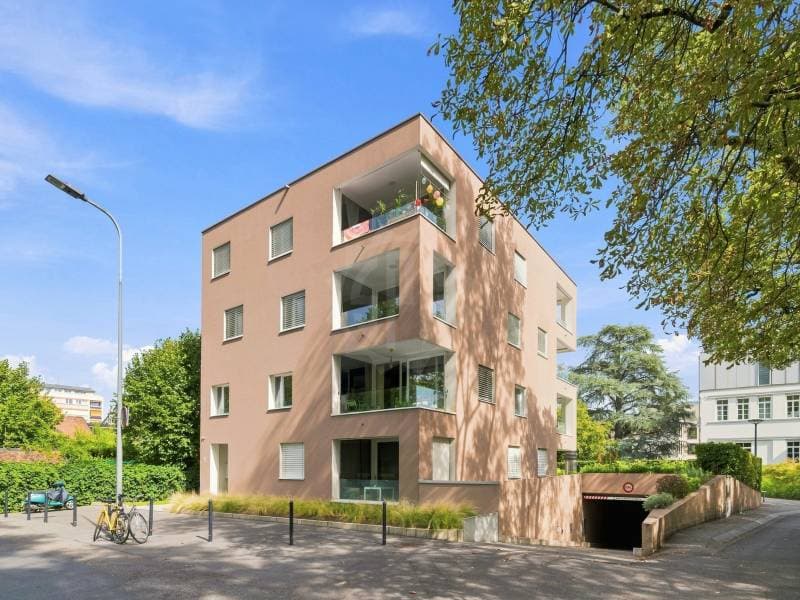 Appartement agréable - Chêne-Bourg (10)